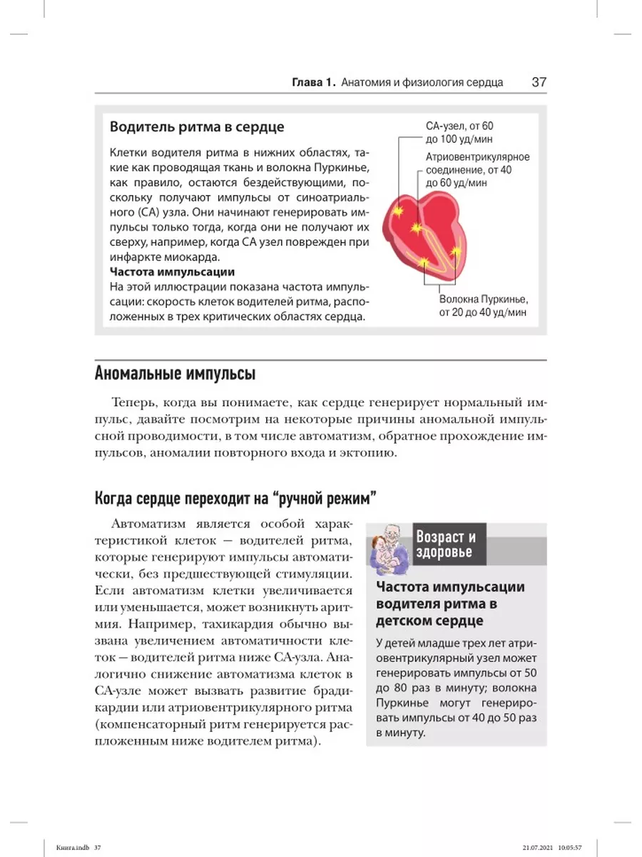 ЭКГ: анализ и интерпретация Диалектика 39071611 купить за 1 136 ₽ в  интернет-магазине Wildberries