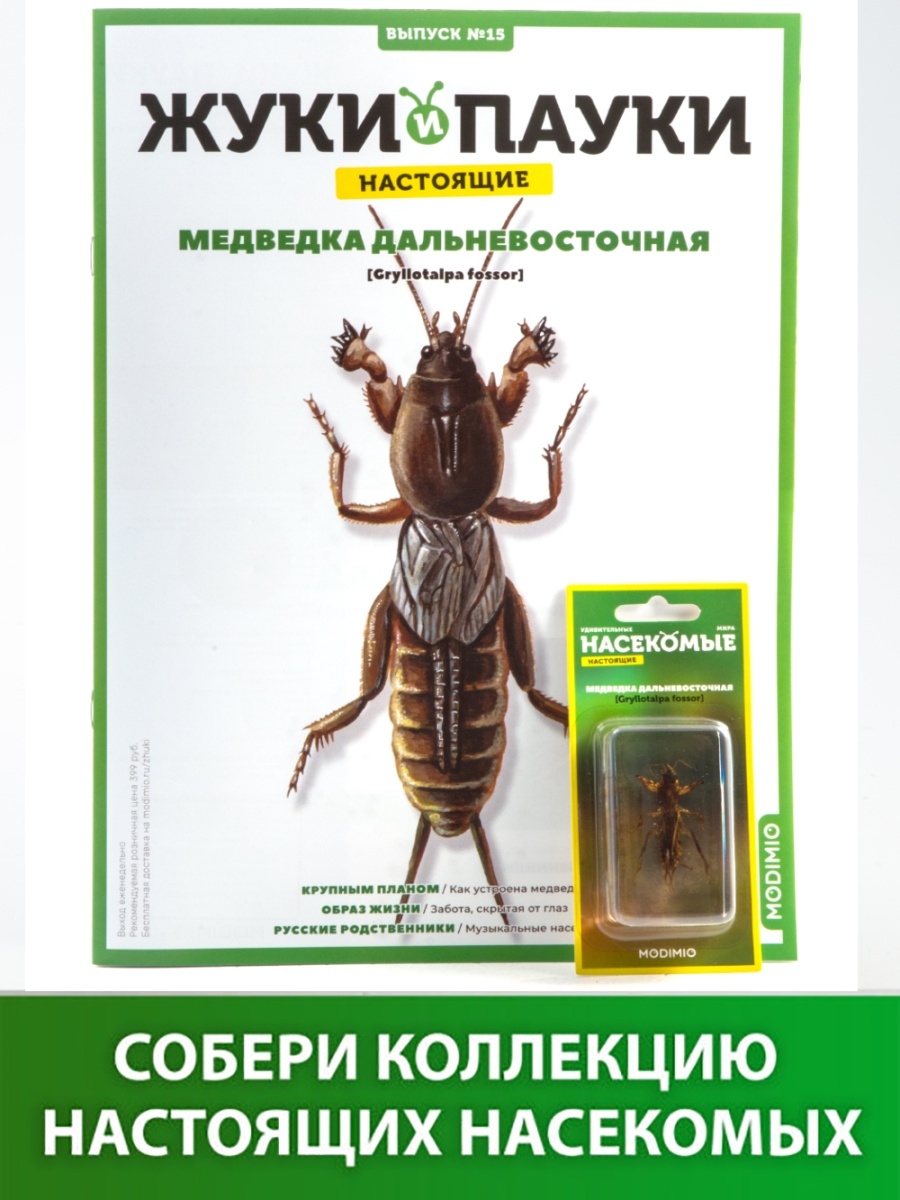 Выпуск №15: Жуки и пауки, Медведка дальневосточная MODIMIO 39123834 купить  в интернет-магазине Wildberries