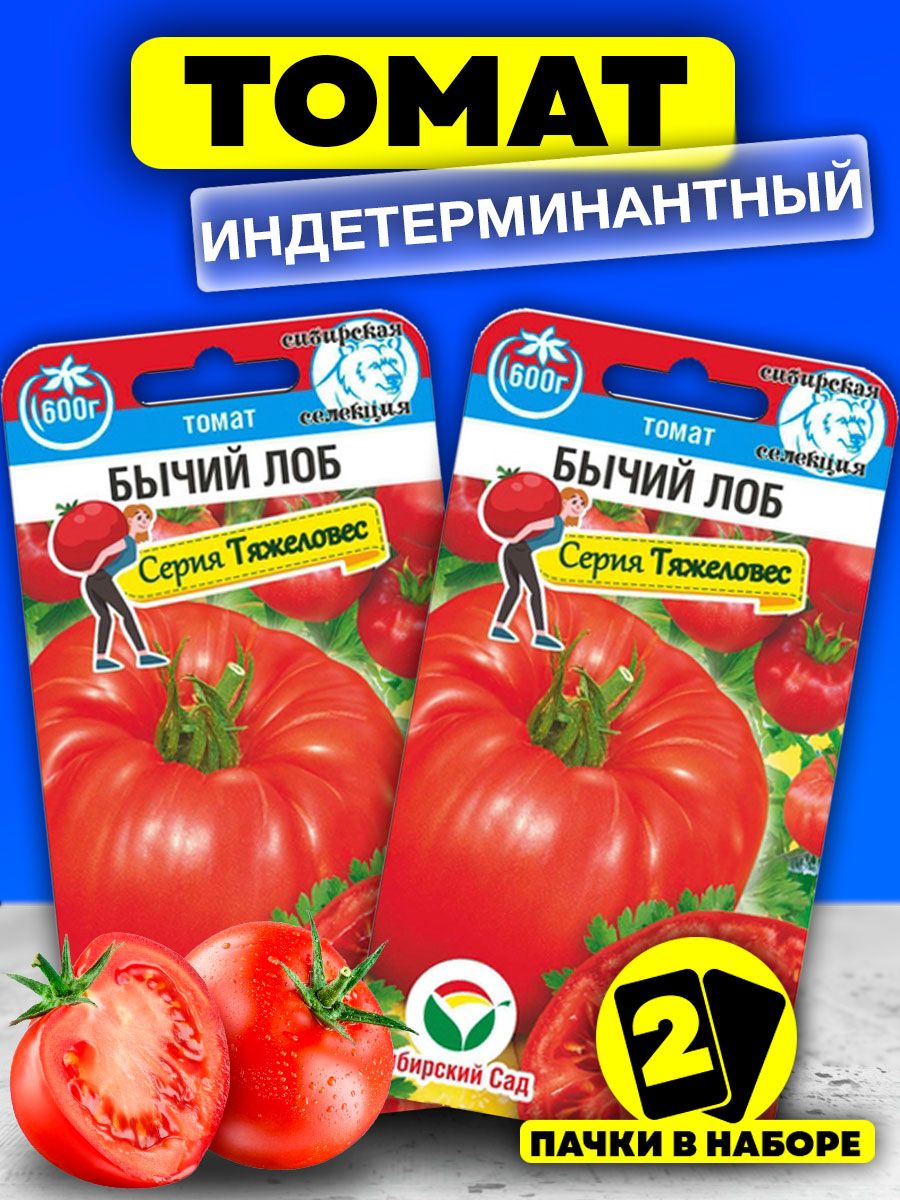 Сорт томатов бычий лоб отзывы. Томат бычий лоб. Томат бычий лоб фото. Томат Андреевский. Греем помидоры бычий лоб.