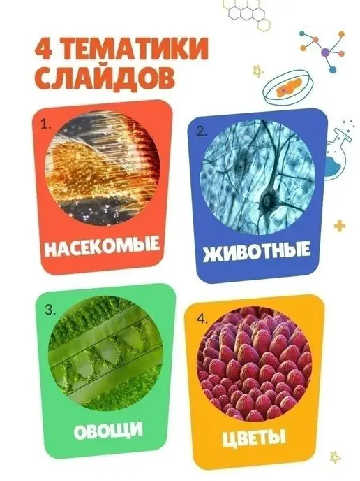 БИОКЛАСС Препараты для опытов под микроскопом 12 образцов, зеленый, фото 4