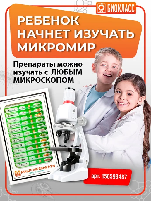 БИОКЛАСС Препараты для опытов под микроскопом 12 образцов, зеленый, фото 6