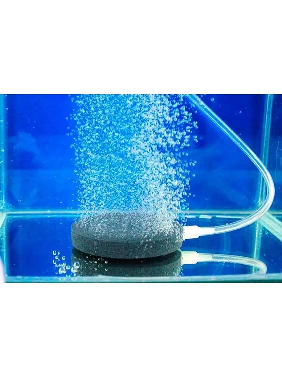 Распылитель воздуха для аквариума, диск 12 см. Aquarium air stone 39309348  купить за 665 ₽ в интернет-магазине Wildberries