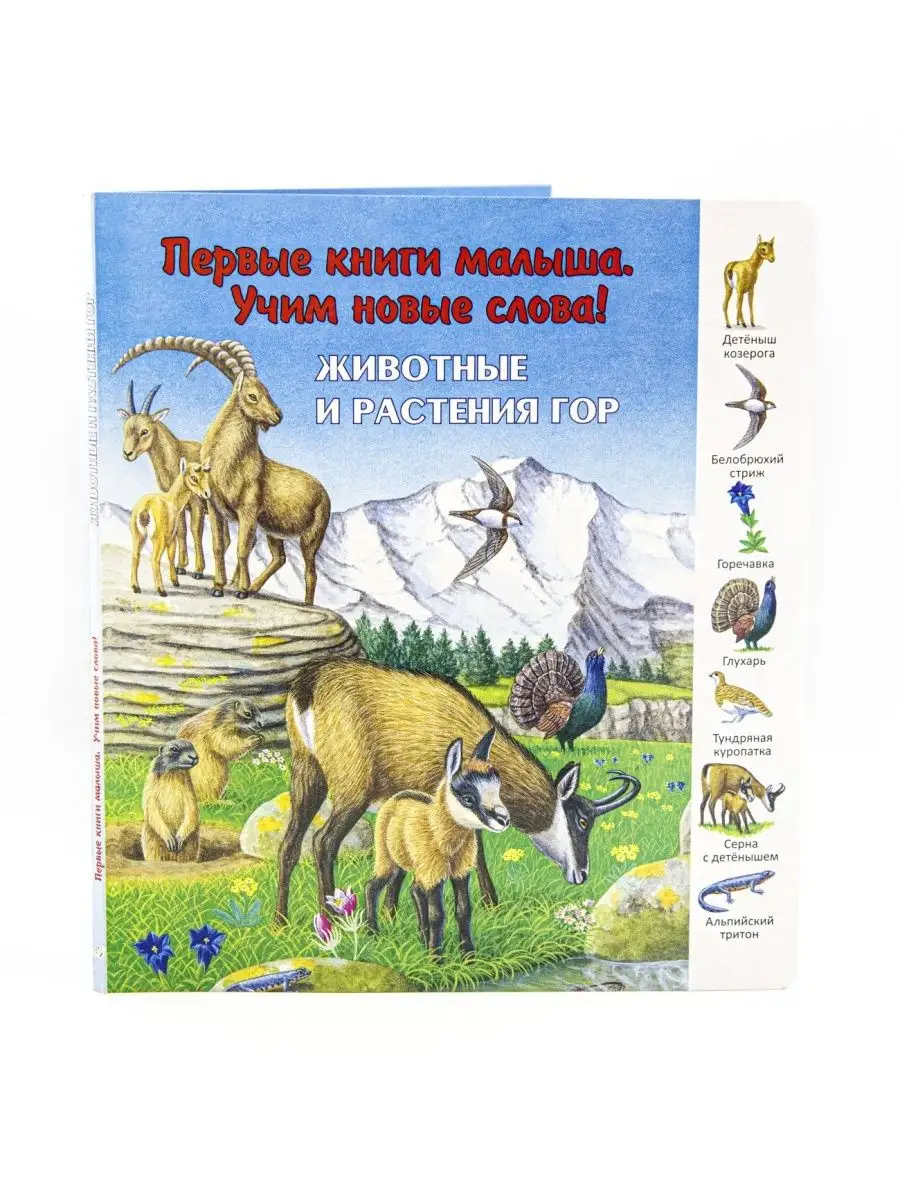 Учим слова! / Животные и растения гор Издательство Улыбка 39339992 купить в  интернет-магазине Wildberries