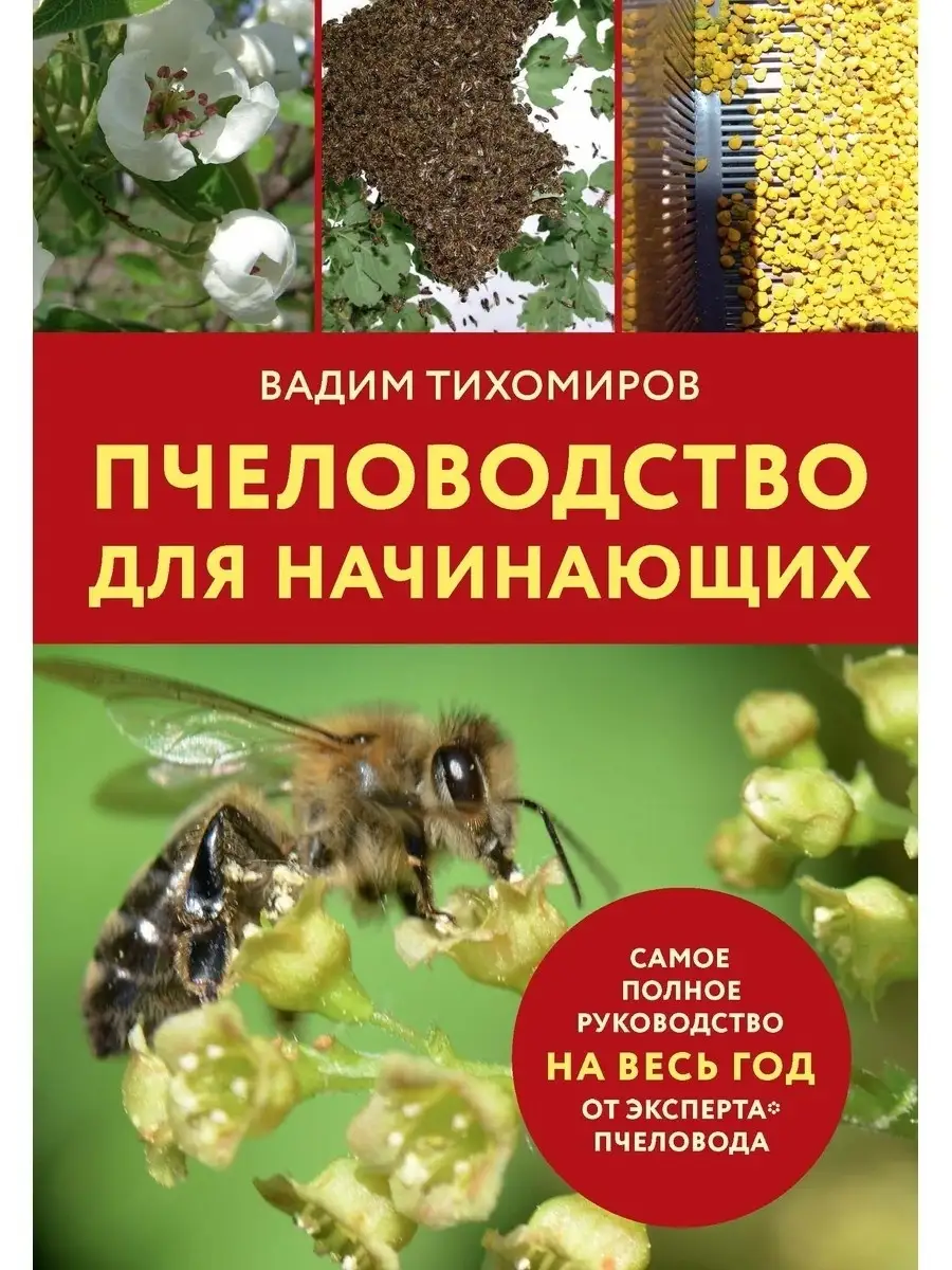 Пчеловодство для начинающих Т8 RUGRAM 39349178 купить в интернет-магазине  Wildberries