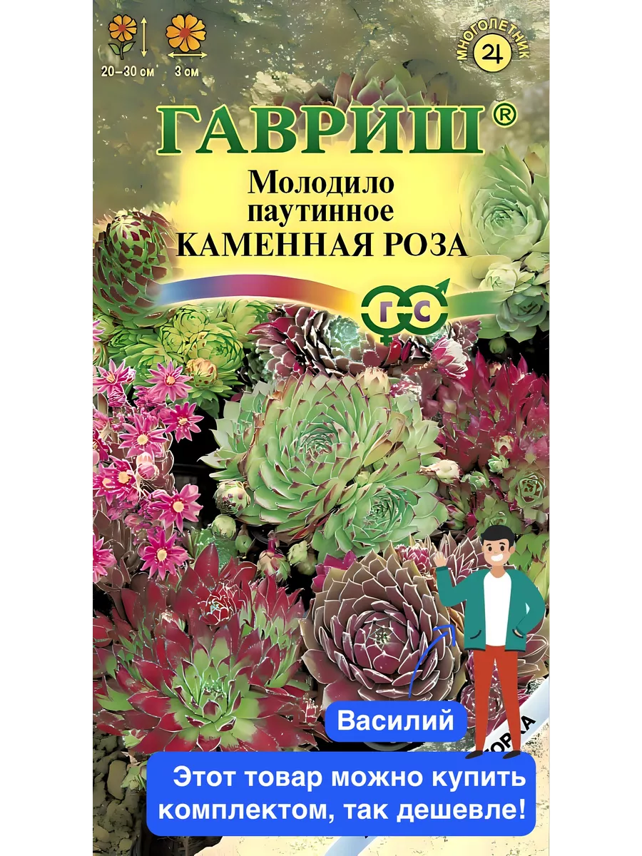 Цветы Молодило Каменная роза 0,01г серия Альпийская горка Гавриш 39375149  купить за 203 ₽ в интернет-магазине Wildberries