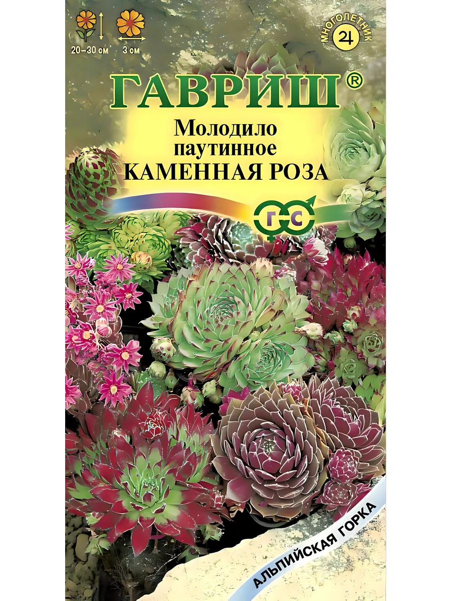 Цветы Молодило Каменная роза 0,01г серия Альпийская горка Гавриш 39375149  купить за 203 ₽ в интернет-магазине Wildberries