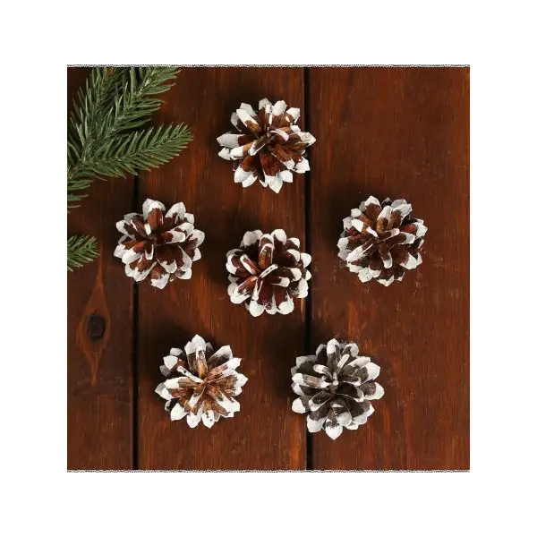 Новогодний декор Набор шишек 6 шт.