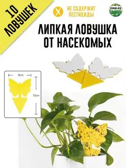 Ловушка клеевая от насекомых Edigei 39425320 купить за 273 ₽ в интернет-магазине Wildberries