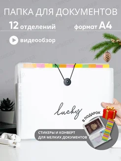 Папка органайзер для документов а4 канцелярская MINIGER 39529093 купить за 378 ₽ в интернет-магазине Wildberries