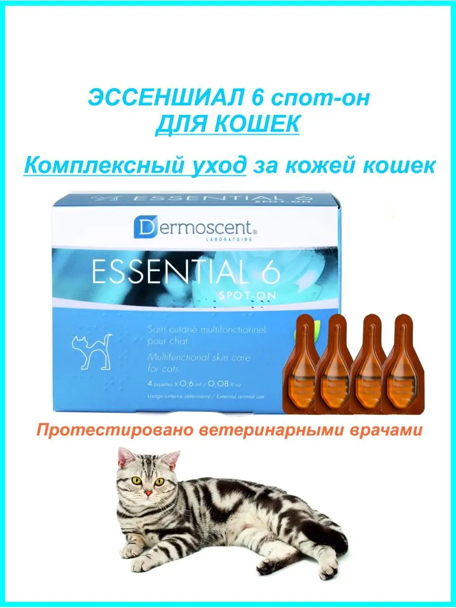 Dermoscent essential 6 cats best sale