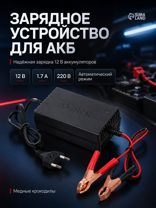 Зарядное устройство для аккумулятора, медные крокодилы, вариант