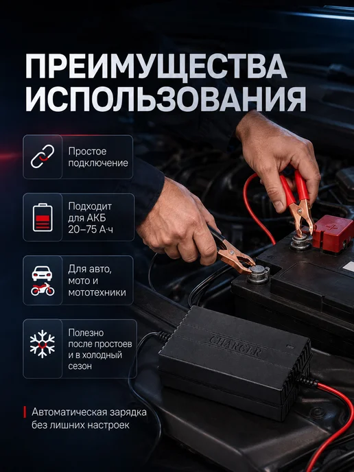 Зарядное устройство для аккумулятора, медные крокодилы, вариант, фото 3