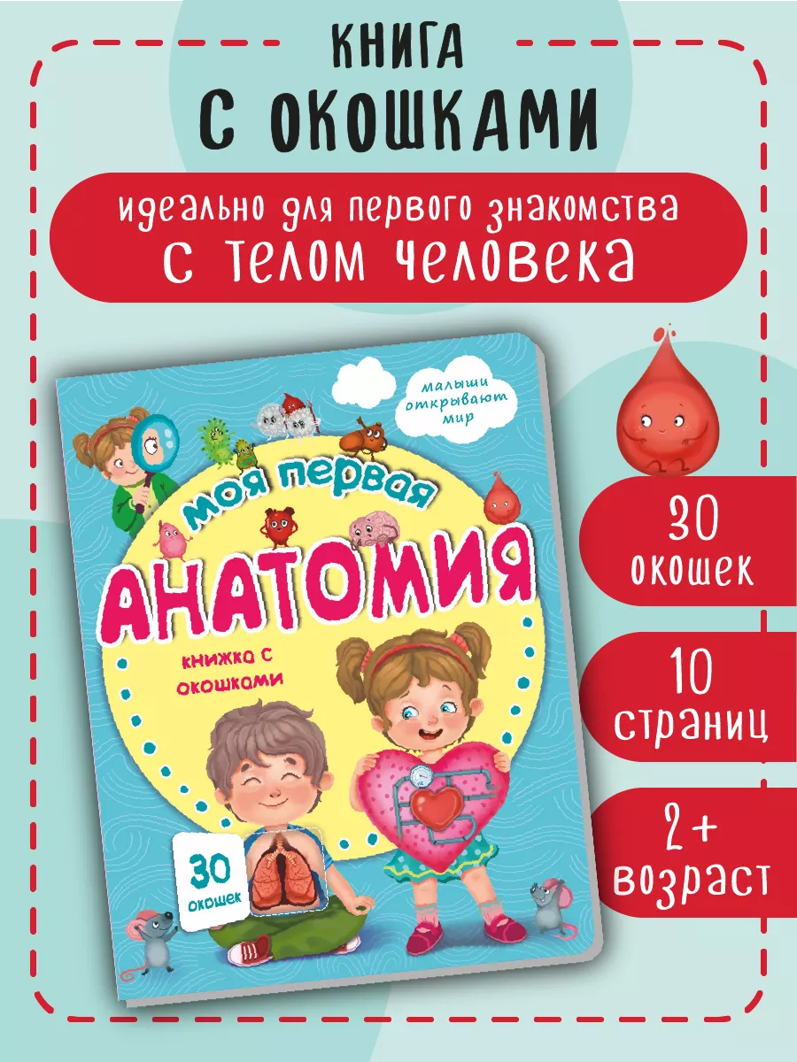 Детская книжка с окошками Виммельбух для малышей Анатомия БимБиМон 39654322  купить за 272 ₽ в интернет-магазине Wildberries