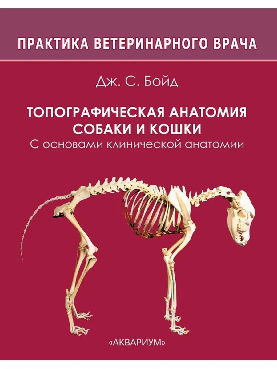 Топографическая анатомия собаки и кошки. Издательство Аквариум 39661360  купить за 2 349 ₽ в интернет-магазине Wildberries