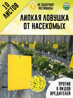 Клеевая ловушка от насекомых Edigei 39706705 купить за 273 ₽ в интернет-магазине Wildberries