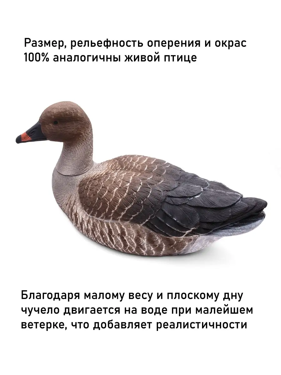 Чучело гуся гуменника Duck Expert 39740202 купить в интернет-магазине  Wildberries