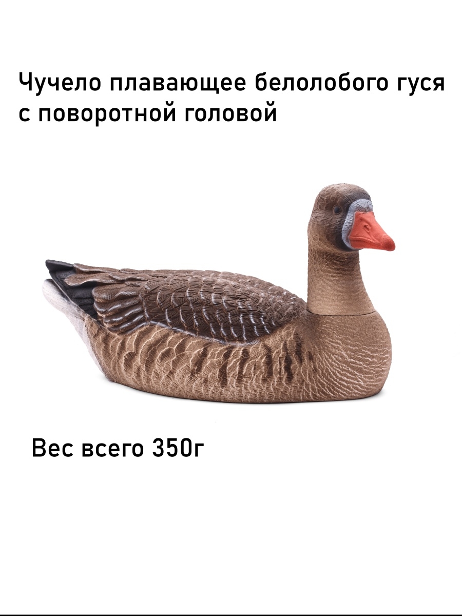 Чучело гуся белолобого Duck Expert 39750145 купить в интернет-магазине  Wildberries