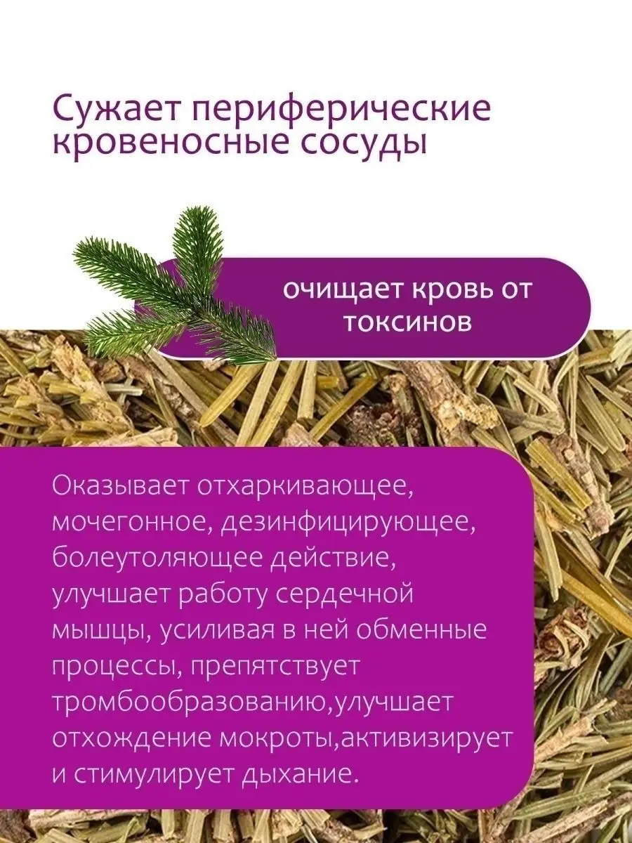 Пихтовый чай лапки пихта чай для бани, 100 гр Травы Горного Крыма 39841878  купить за 220 ₽ в интернет-магазине Wildberries