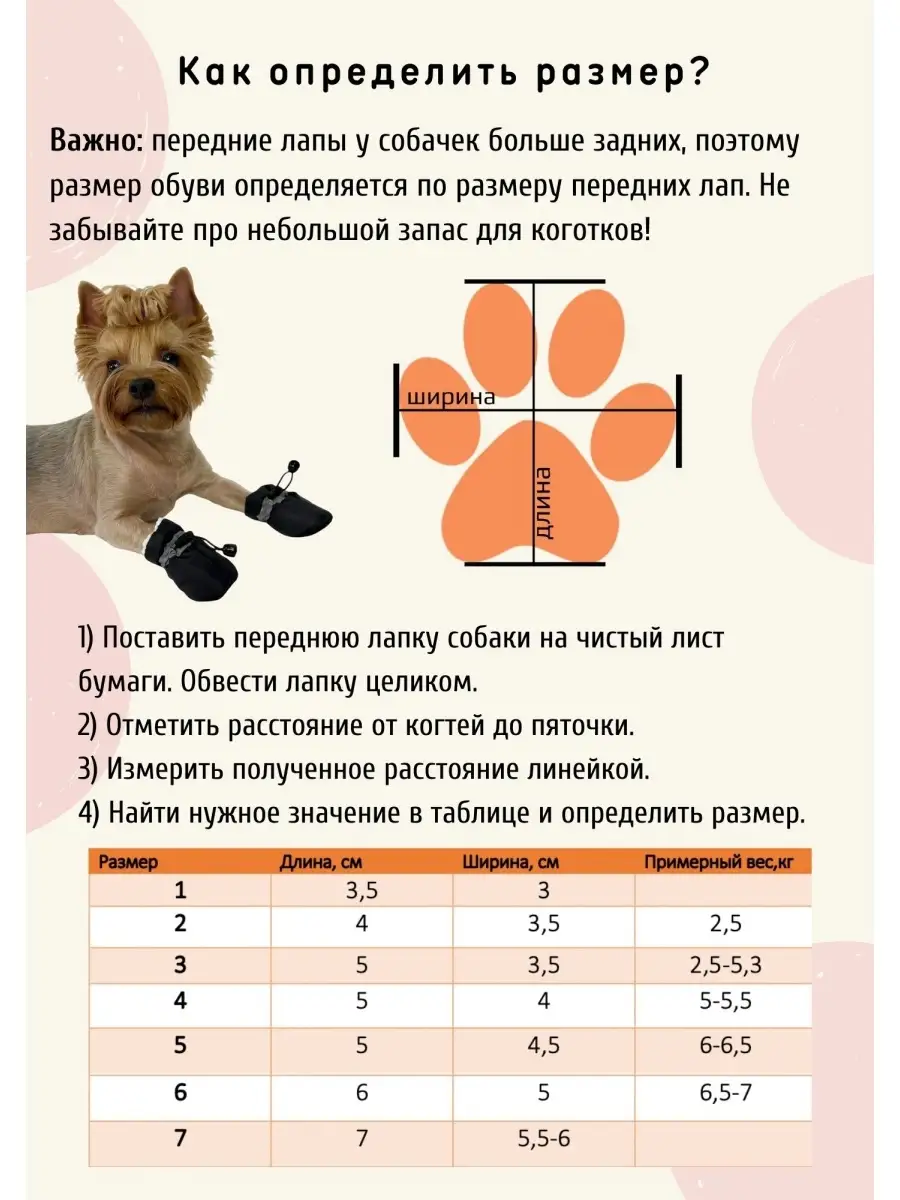 Ермолаева Н.В. Обувь для собак демисезон