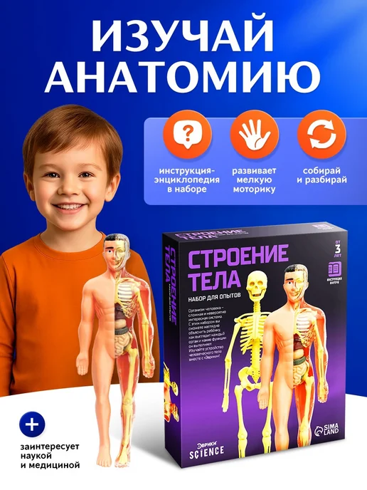 Эврики Анатомическая модель для детей "Строение тела человека", вариант, фото 5