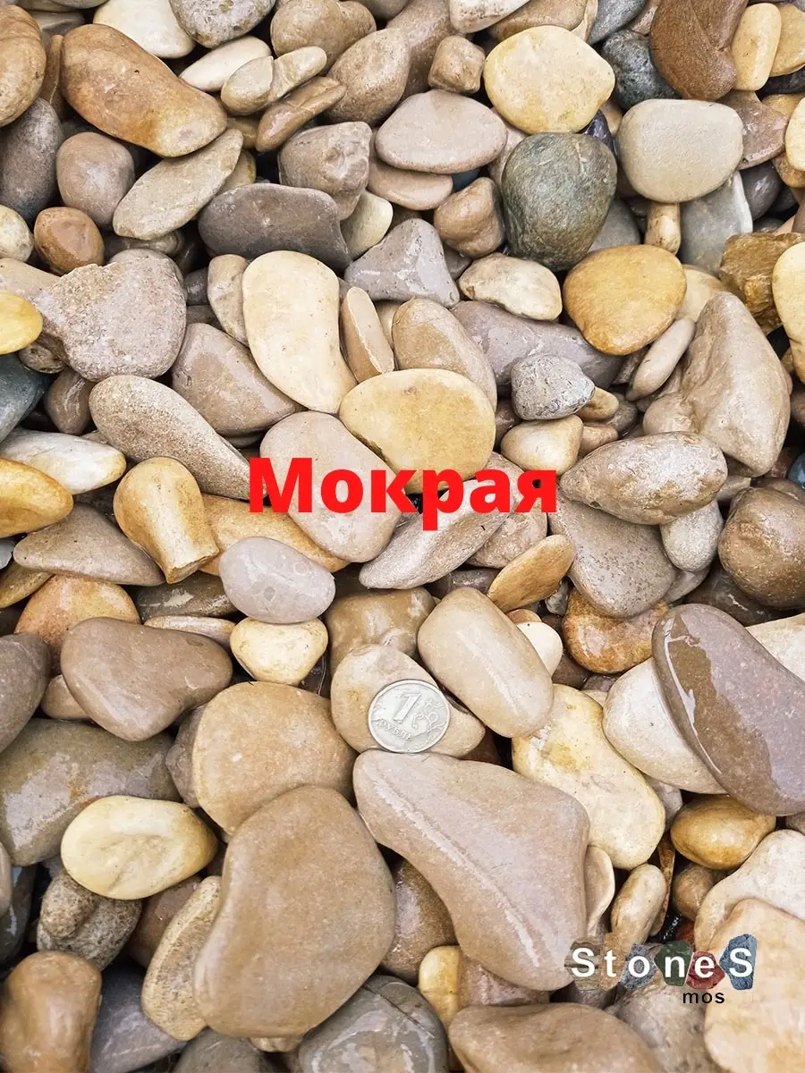 Галька 20-40мм морская. 3кг Stones-Mos 40023628 купить за 259 ₽ в  интернет-магазине Wildberries