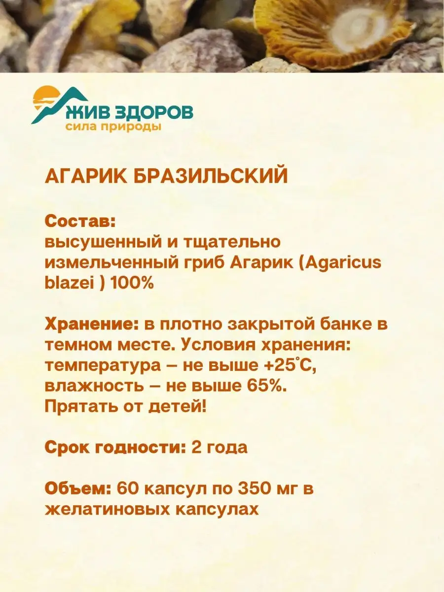 Агарик Бразильский, гриб для иммунитета (порошок в капсулах) против вирусов  и бактерий Жив Здоров 40049249 купить в интернет-магазине Wildberries