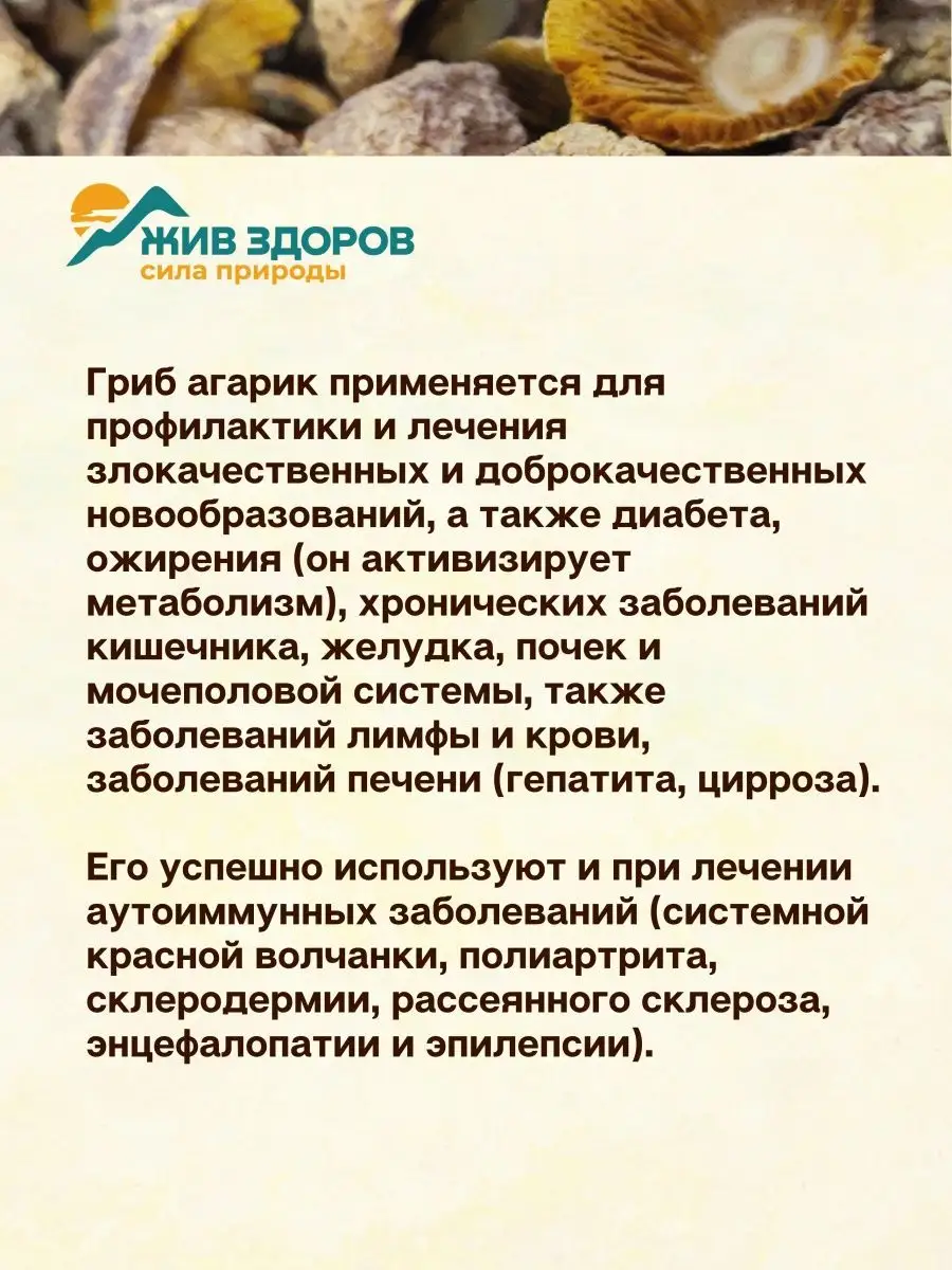 Агарик Бразильский, гриб для иммунитета (порошок в капсулах) против вирусов  и бактерий Жив Здоров 40049249 купить в интернет-магазине Wildberries