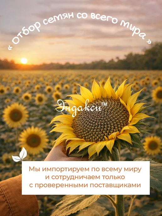 Эндакси Смесь семян для салатов 1 кг, 1 кг, фото 7