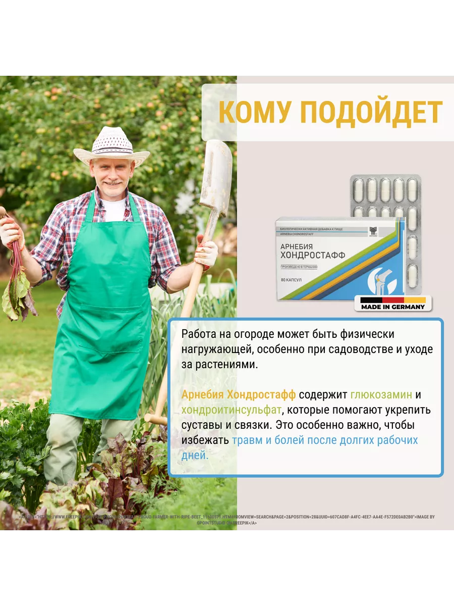 Хондростафф, капсулы 80 шт. для суставов АРНЕБИЯ 40113569 купить за 426 ₽ в  интернет-магазине Wildberries