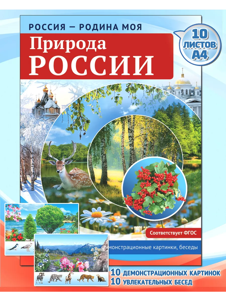 Россия - Родина моя. Природа ТЦ СФЕРА 40123333 купить в интернет-магазине  Wildberries