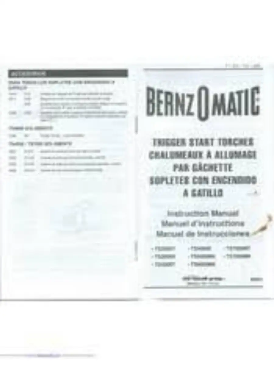 Bernzomatic ts2000 online