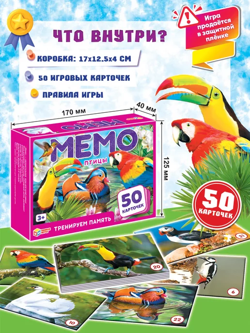 Умные игры Настольная игра мемо карточная Птицы 50 карточек, голубой, фото 2
