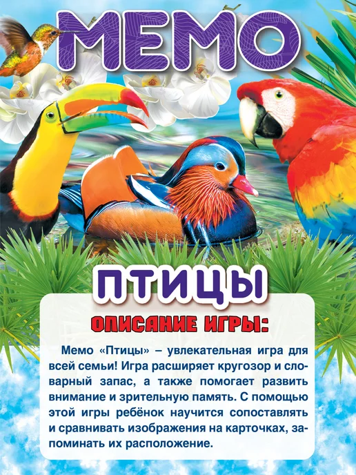 Умные игры Настольная игра мемо карточная Птицы 50 карточек, голубой, фото 3