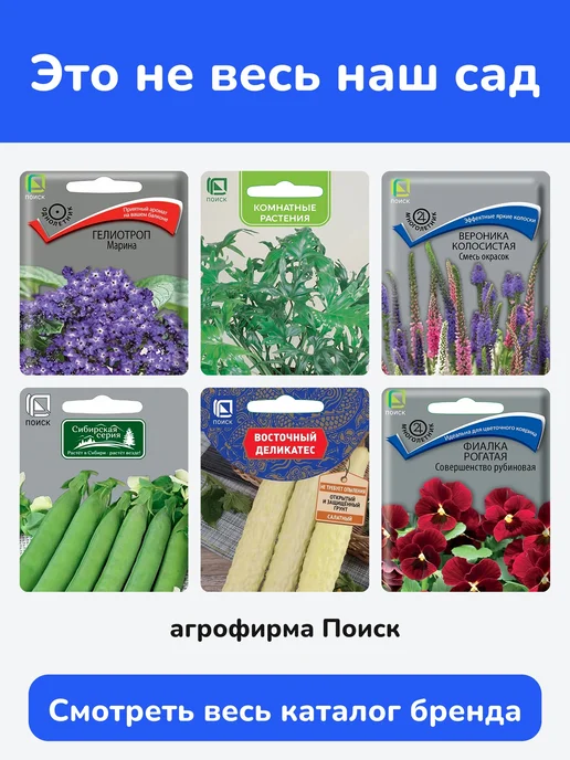 Поиск Агрофирма Семена щавеля Крупнолистный, 1 г, 1 г, фото 4
