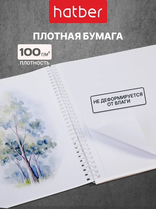 Hatber Альбом для рисования А4 40 листов 2 штуки набор, бежевый, набор альбомов, фото 2