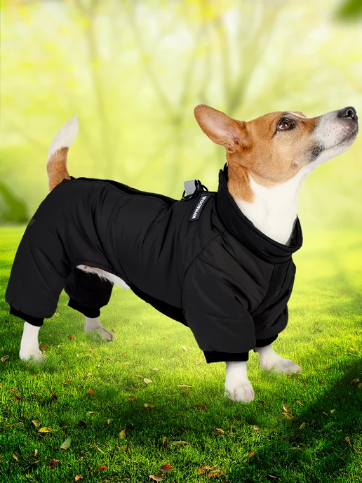 Как сшить куртку для собаки своими руками — Полезные статьи