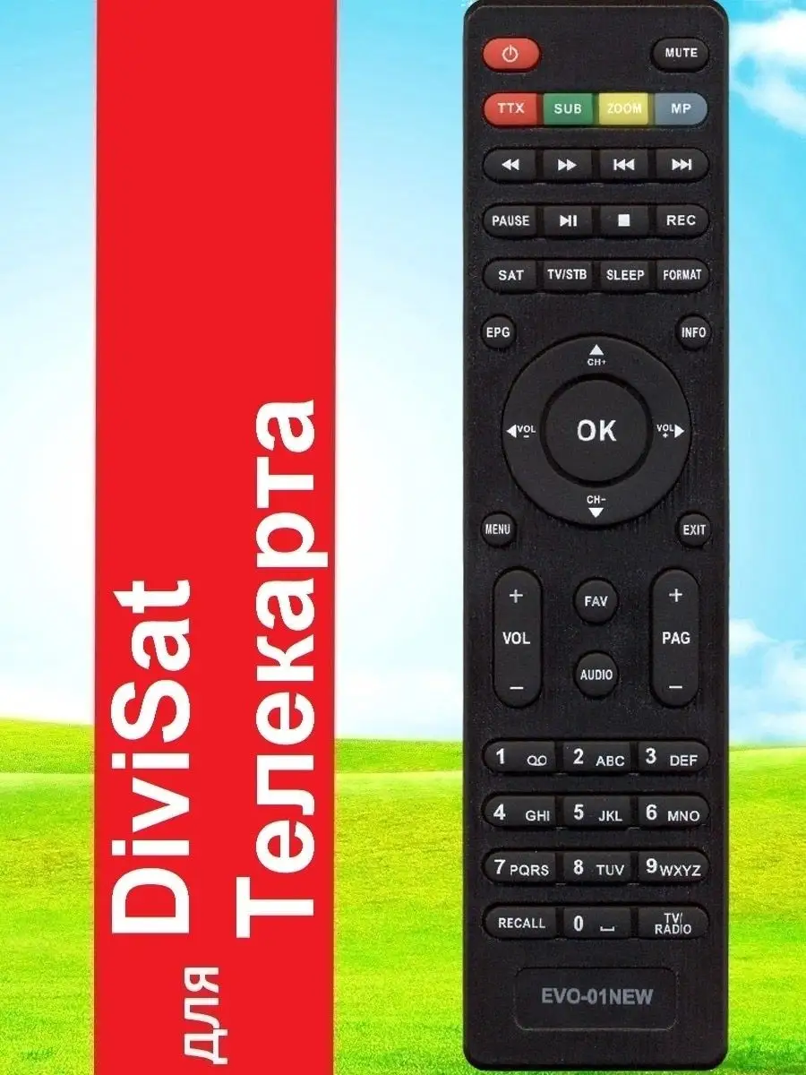 Пульт для Телекарта EVO 09 HD IR, Divisat DVS-S200PVR HUAYU 40227104 купить  за 544 ₽ в интернет-магазине Wildberries