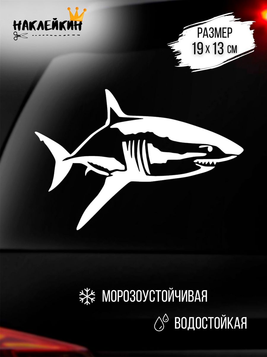 Наклейка на авто Акула 19 см Наклейкин 40381646 купить за 204 ₽ в  интернет-магазине Wildberries