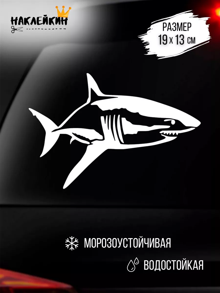 Наклейка на авто Акула 19 см Наклейкин 40381646 купить за 204 ₽ в  интернет-магазине Wildberries