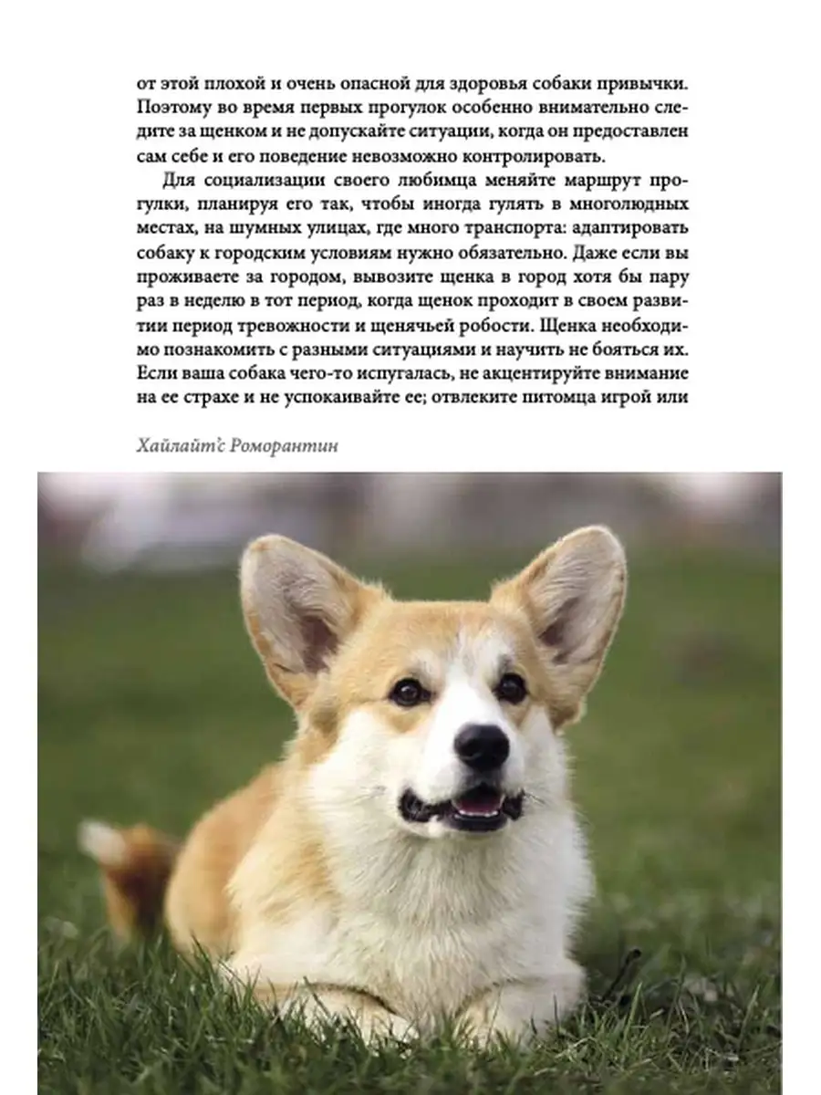 Книга про собак Вельш-Корги-Пемброк DOG-ПРОФИ 40388617 купить за 1 305 ₽ в  интернет-магазине Wildberries