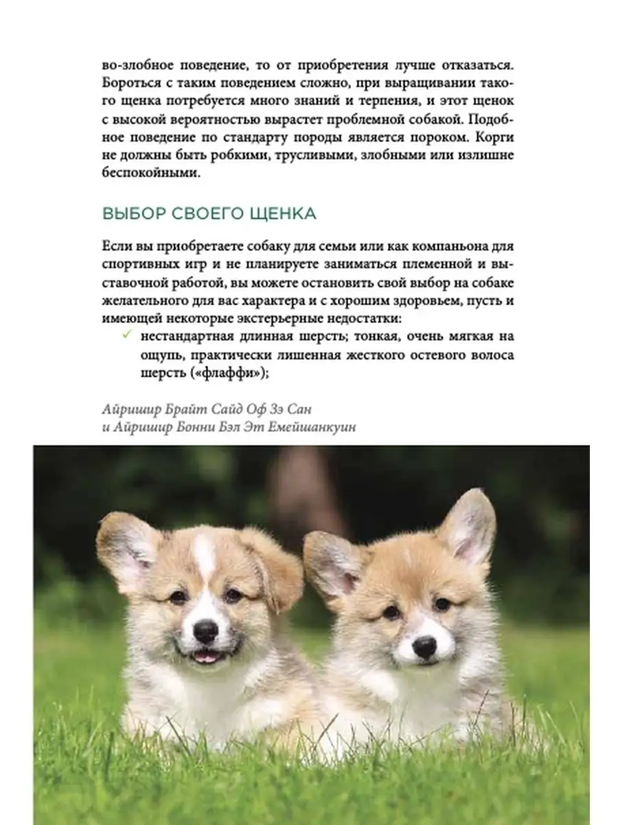 Книга про собак Вельш-Корги-Пемброк DOG-ПРОФИ 40388617 купить за 1 298 ₽ в  интернет-магазине Wildberries