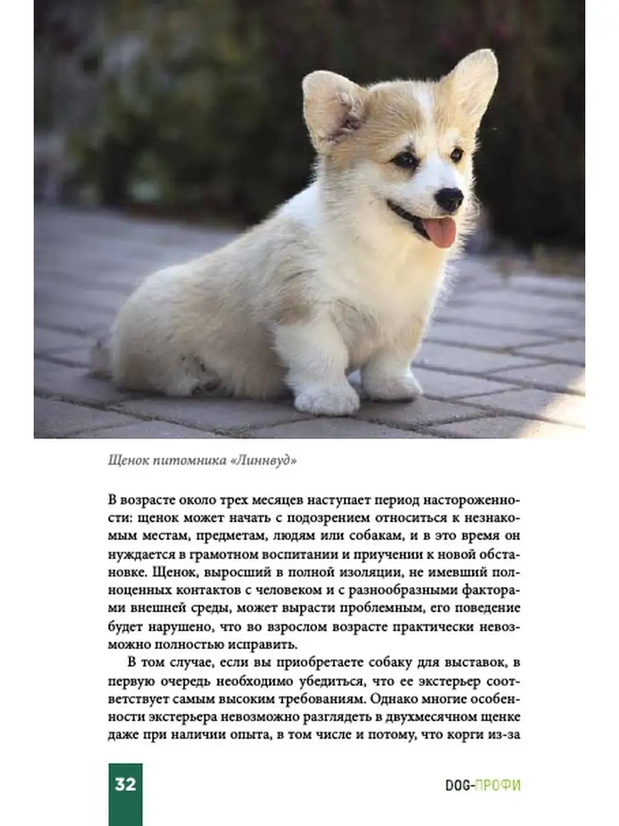 Книга про собак Вельш-Корги-Пемброк DOG-ПРОФИ 40388617 купить за 1 305 ₽ в  интернет-магазине Wildberries