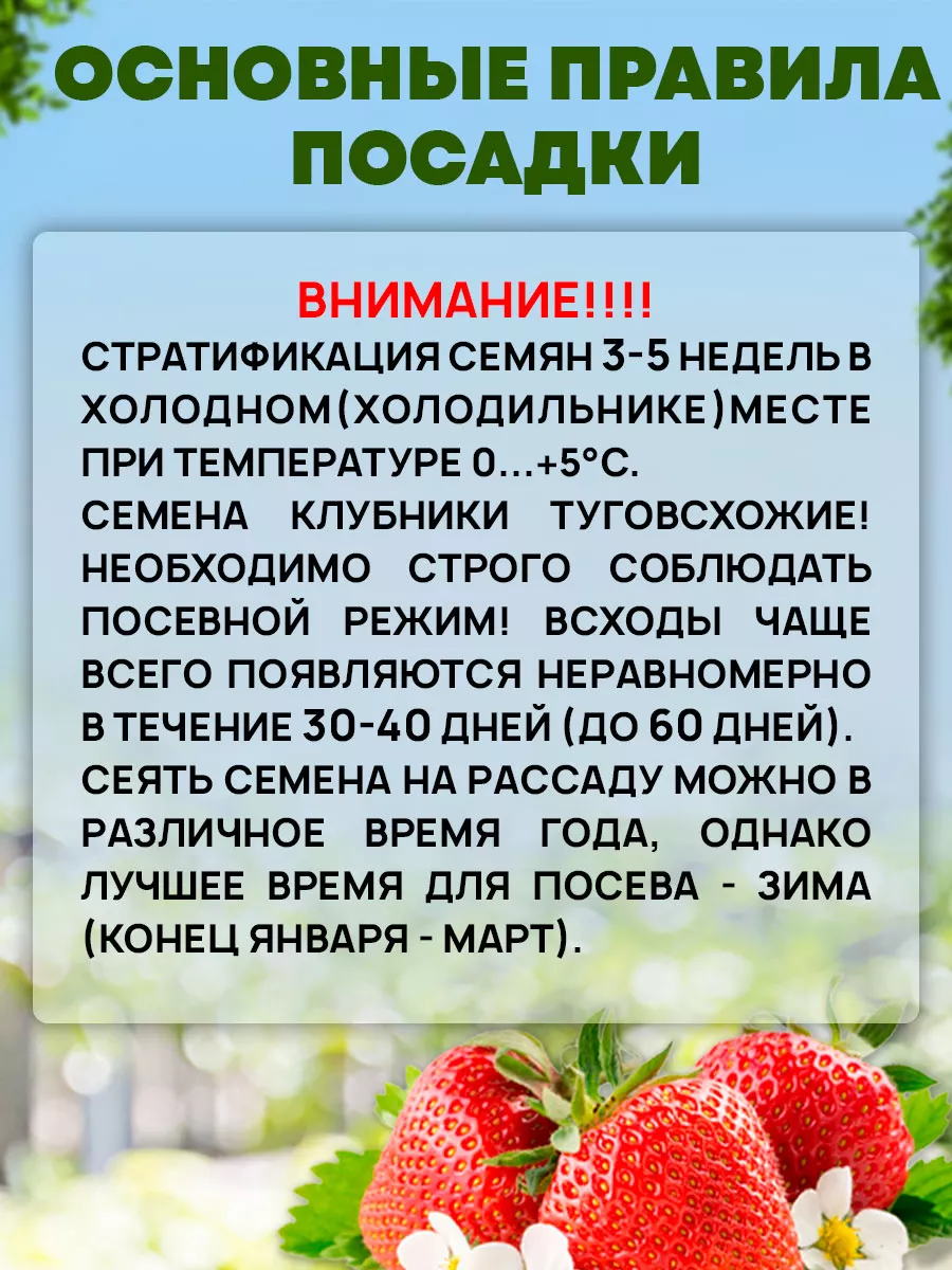 Семена Клубники Королева Елизавета ремонтантной крупной Сибирский сад  40413652 купить за 185 ₽ в интернет-магазине Wildberries