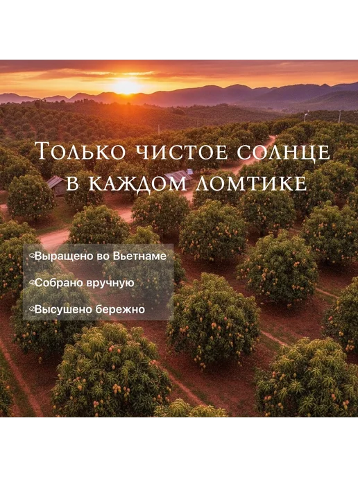 Азбука фруктов Манго сушеное без сахара натуральное 1, вариант, фото 5