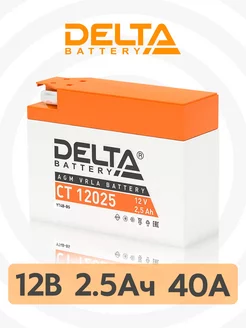 Аккумулятор для мотоцикла 12в CT 12025 DELTA BATTERY 40731448 купить за 1 539 ₽ в интернет-магазине Wildberries