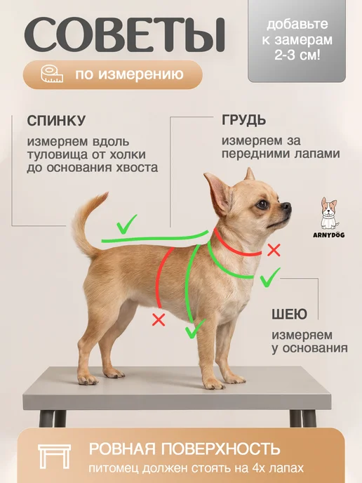 Arnydog Куртка для собак мелких и средних пород зимняя, зеленый, фото 5