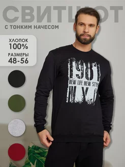 Свитшот с тонким начесом 1st Multibrand 40783193 купить за 509 ₽ в интернет-магазине Wildberries