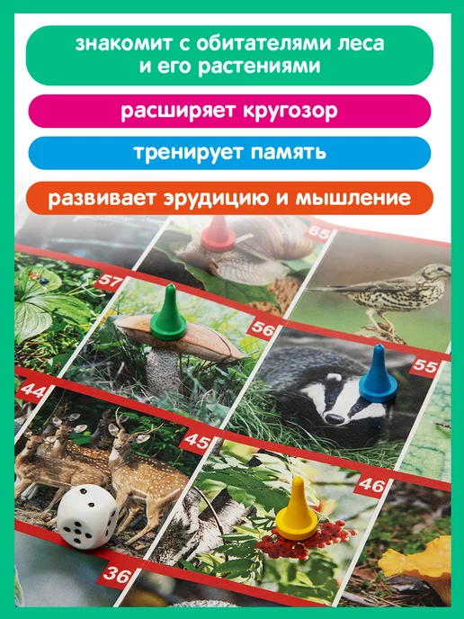 ДЕСЯТОЕ КОРОЛЕВСТВО Ходилка игра настольная Викторина для детей Лес, белый, фото 5