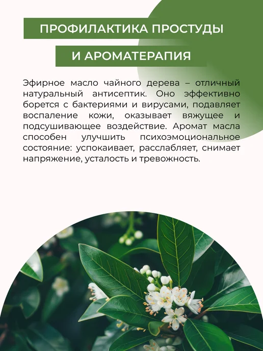 SIBERINA Эфирное масло чайного дерева для бани, 8 мл, фото 4