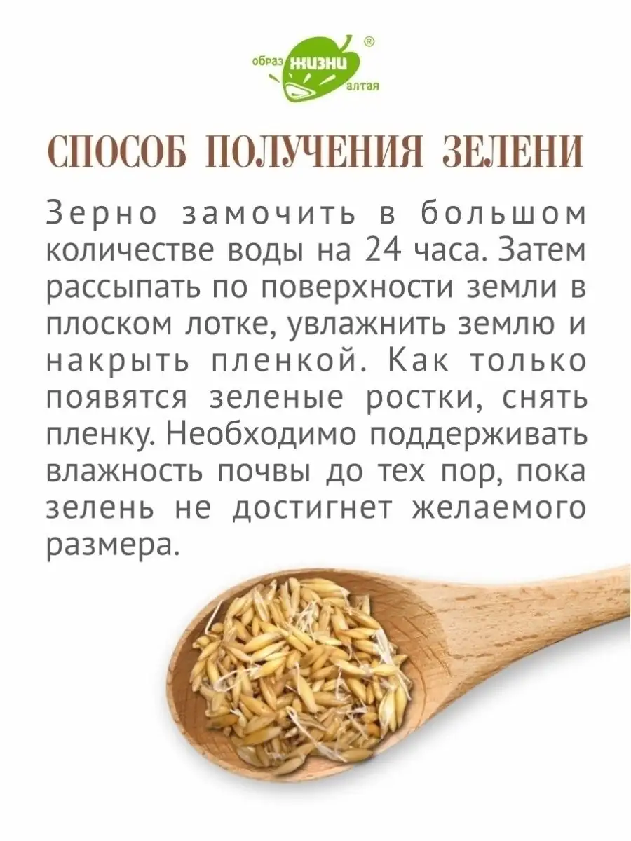 Овес для заваривания лечебный в оболочке, 5 кг Образ жизни Алтая 40903566  купить за 838 ₽ в интернет-магазине Wildberries